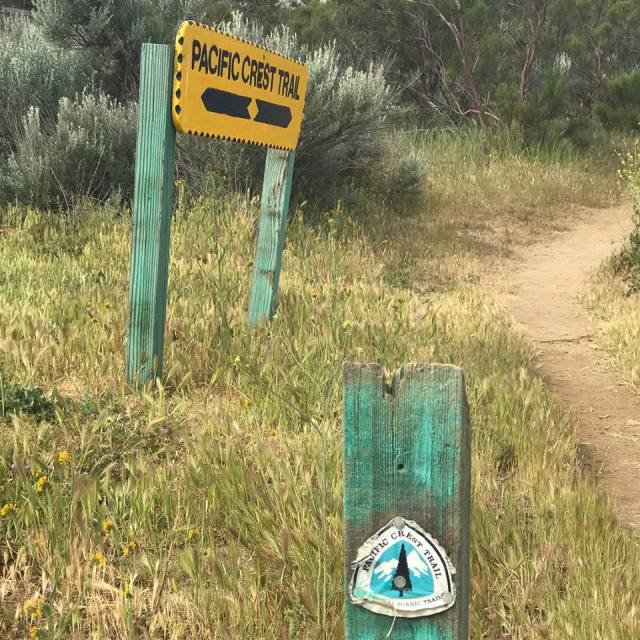 22730373_10155043202685036_2592058707374645959_n