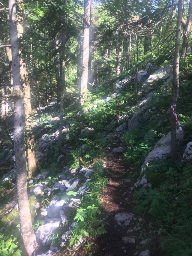 00ADB0DC-45CD-453F-BB73-A01F9030A820