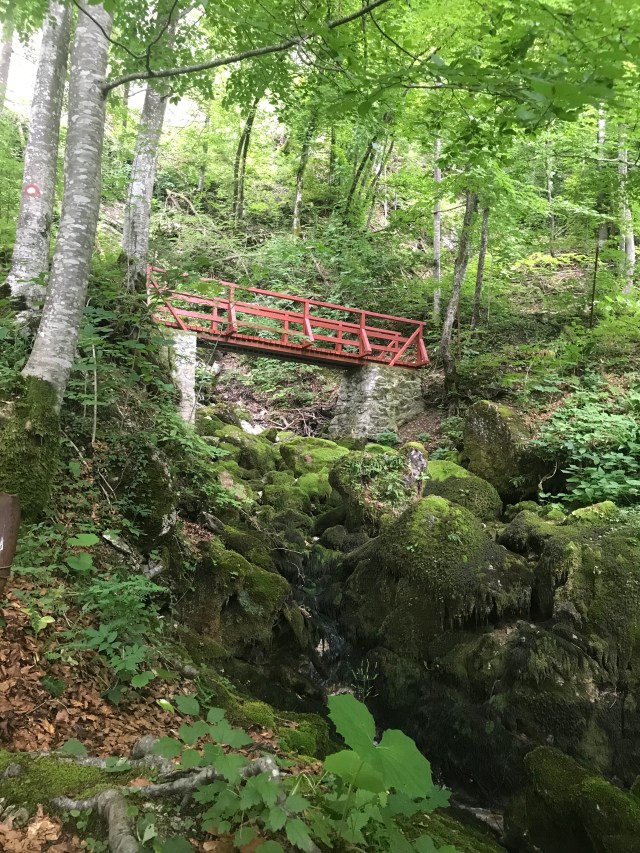 E18B1032-564E-48B5-A442-A73810EA4291