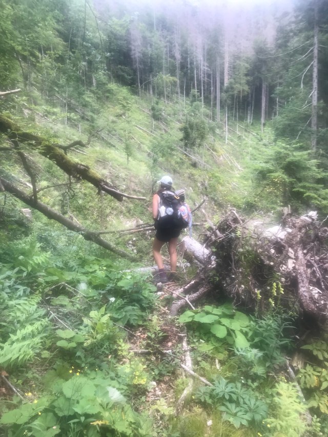 E90BD412-5379-4785-B533-4CC63A331A77