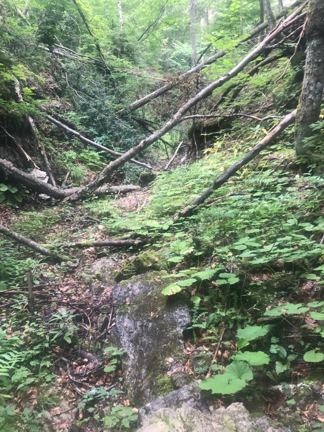 EEDE33F6-02B1-4349-A71D-20001E9E3FBF