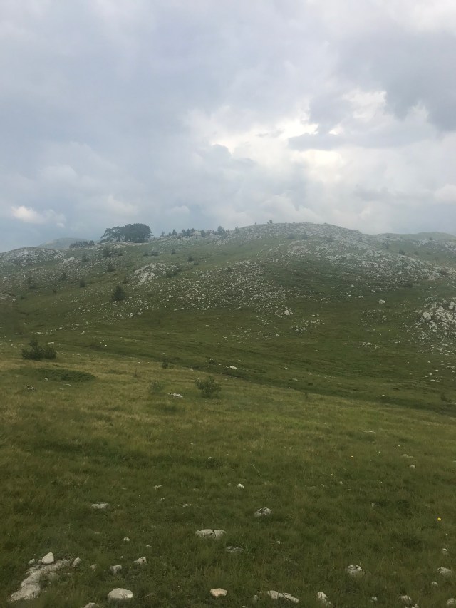 0E95D822-73B4-40E5-9E34-66929DA74704