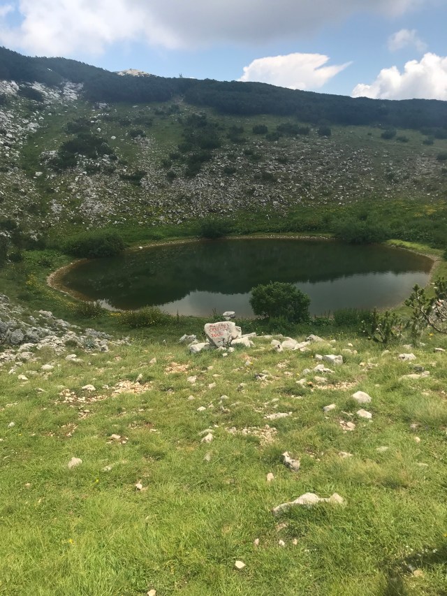 23FB1A63-D598-49D7-9D92-A8C0E2EC5C65