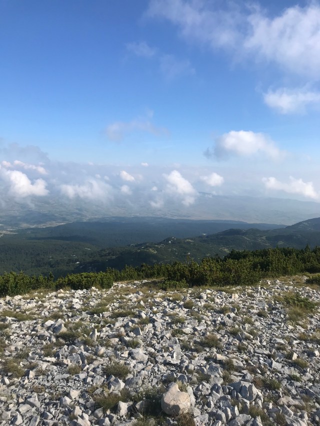 871F7E1C-66A2-4A5C-AD03-B58188801DE6