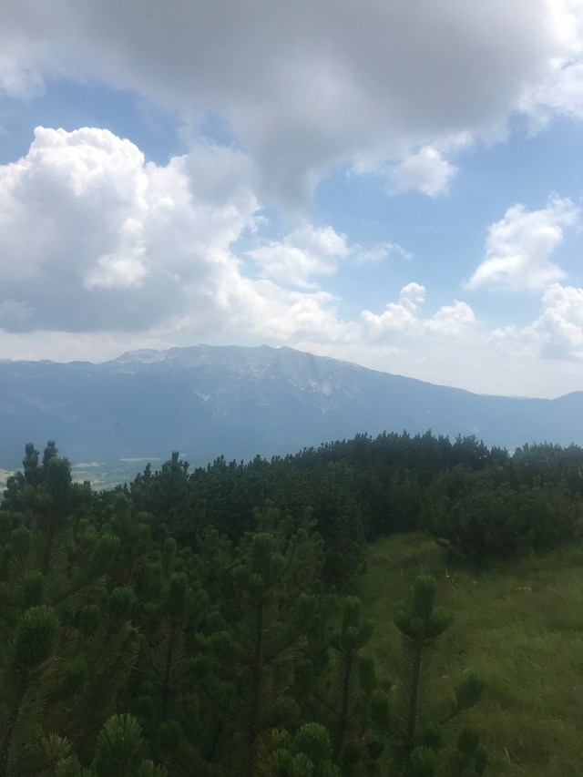 AFD61993-5B7D-4645-A013-D2B404D6DB97