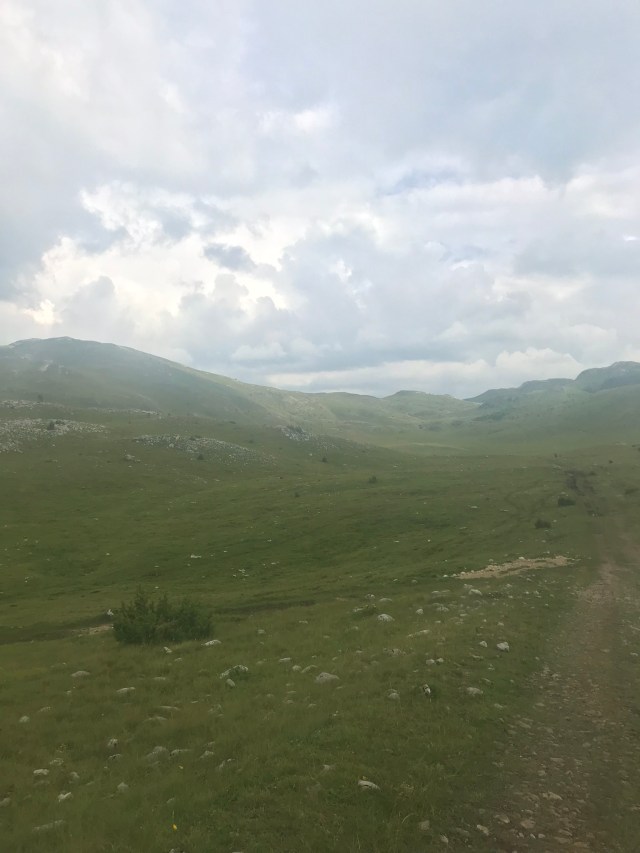 BDAED2DA-81F6-4A8F-B4C6-B0EC2D9C8000